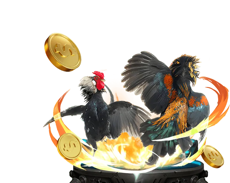 Chương Trình Hoàn Trả Hàng Ngày Không Giới Hạn 456win clup